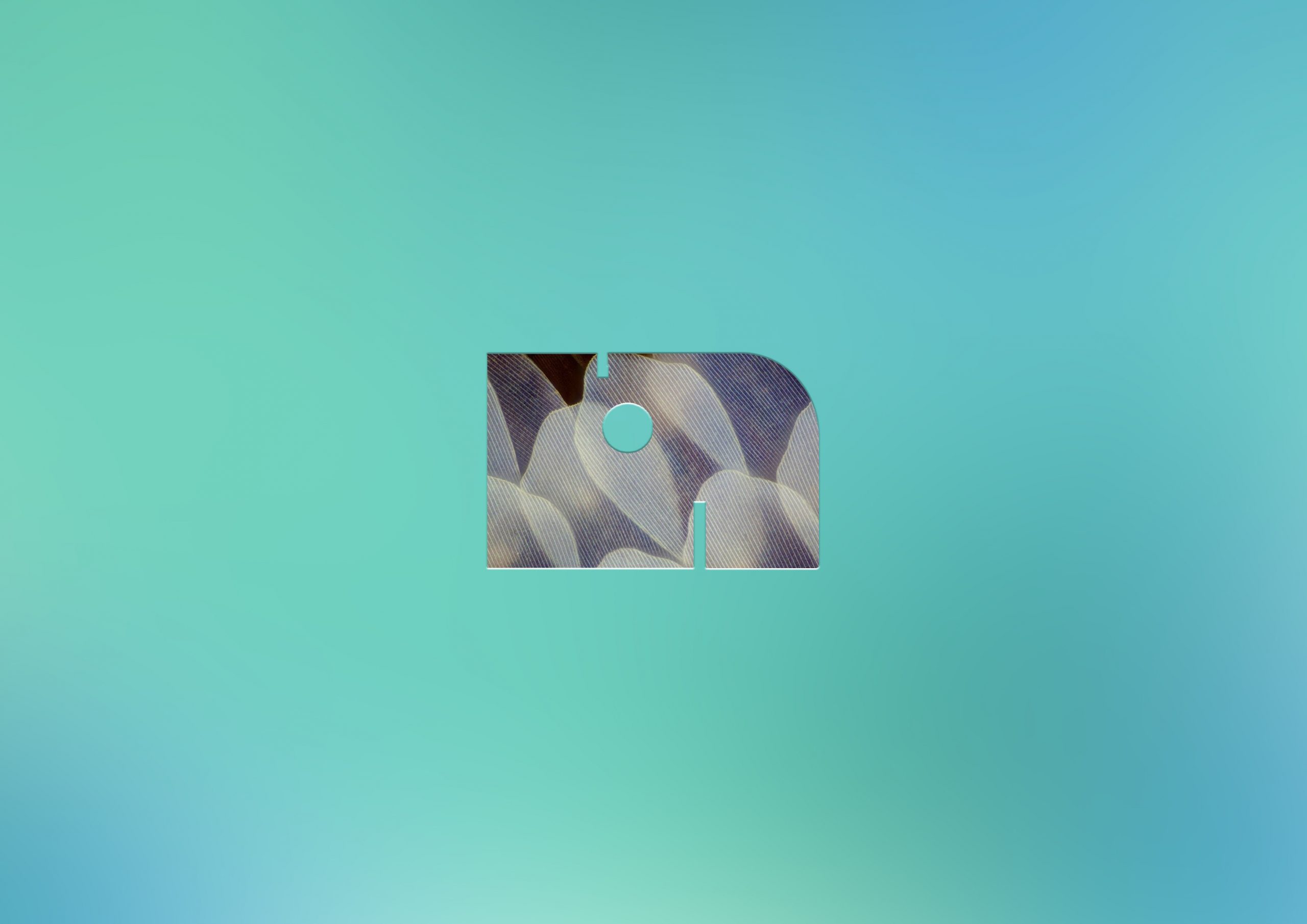 1602839281453089.jpg
